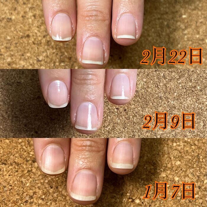 画像1474