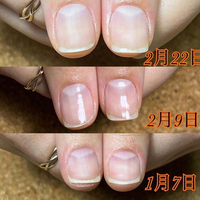 画像1475